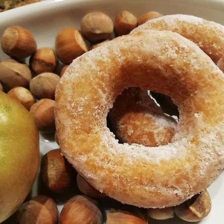 Il Molinaccio Al Rio Chiaro Villa Civitella dʼAgliano Dış mekan fotoğraf