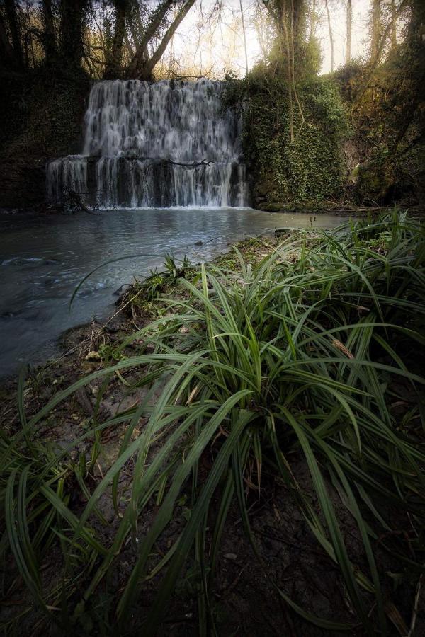 Il Molinaccio Al Rio Chiaro Villa Civitella dʼAgliano Dış mekan fotoğraf