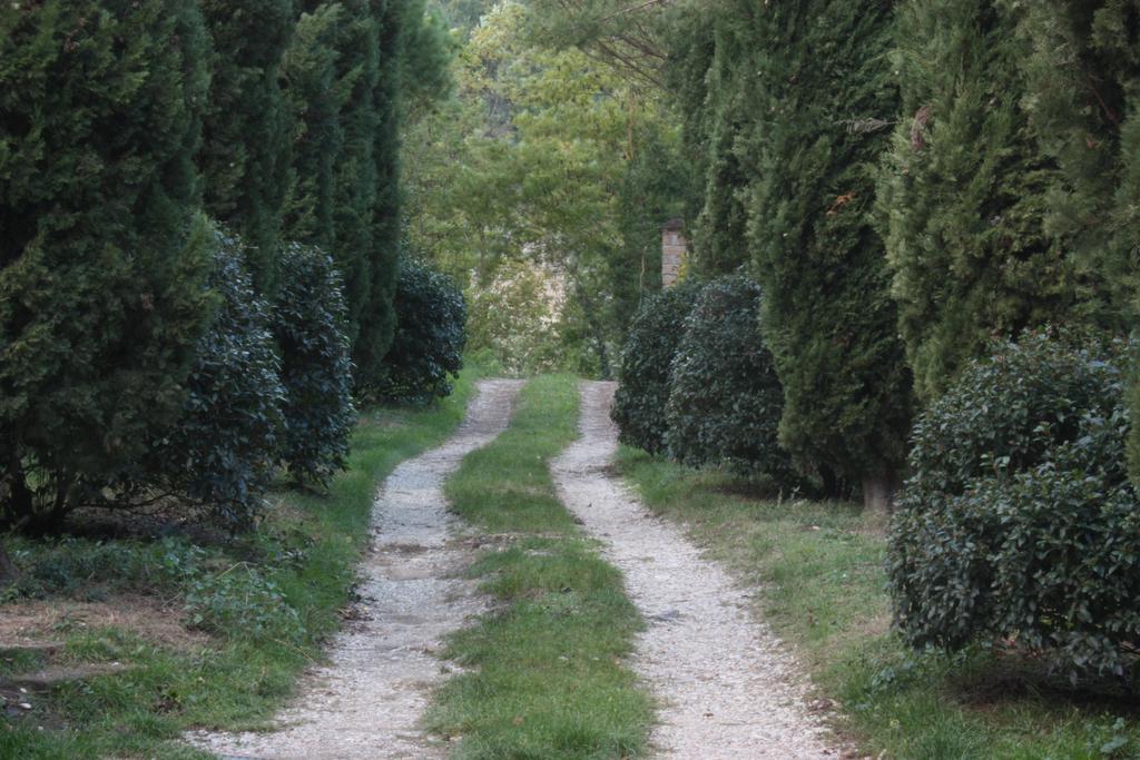 Il Molinaccio Al Rio Chiaro Villa Civitella dʼAgliano Dış mekan fotoğraf