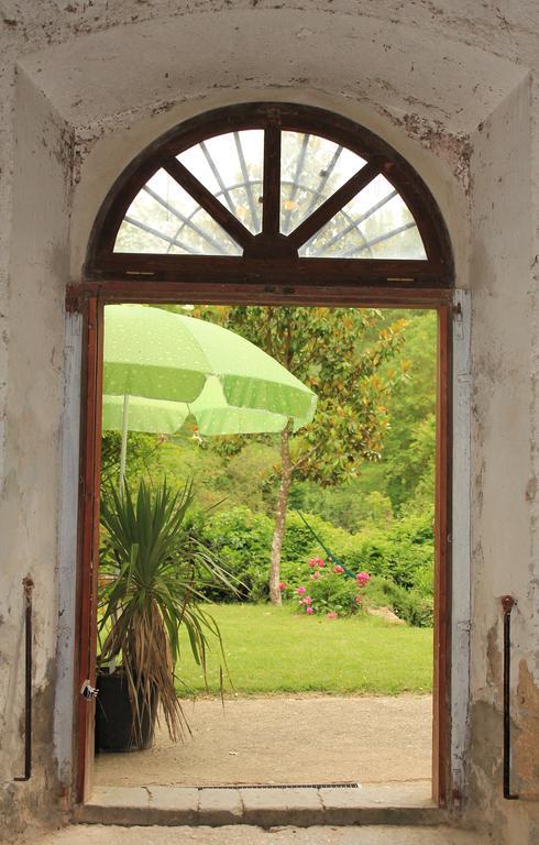 Il Molinaccio Al Rio Chiaro Villa Civitella dʼAgliano Dış mekan fotoğraf