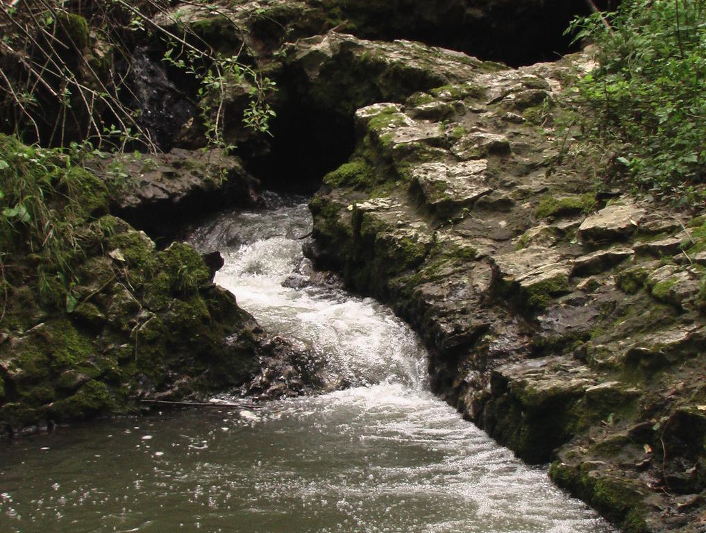 Il Molinaccio Al Rio Chiaro Villa Civitella dʼAgliano Dış mekan fotoğraf