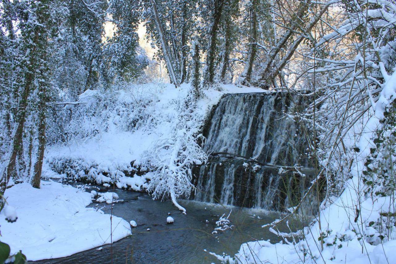 Il Molinaccio Al Rio Chiaro Villa Civitella dʼAgliano Dış mekan fotoğraf